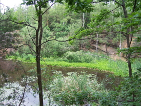 En commençant par l'arrêt de la ligne de tramway 4 \