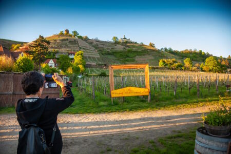 Kulinarische Wanderung Oberloessnitz