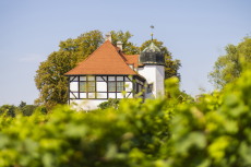 Hoflößnitz Ansicht