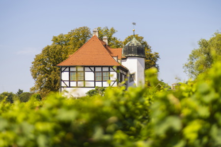 Hoflößnitz Ansicht