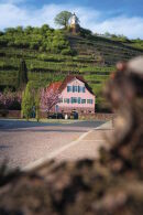  Découvrez les vignobles du Friedstein avec des vues magnifiques sur la vallée... 