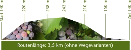 Höhenprofil Historische Waldroute
