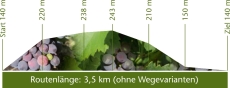 Höhenprofil Historische Waldroute