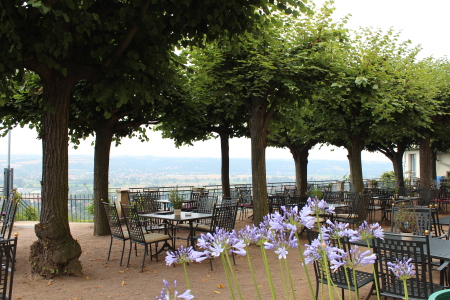 Blick auf die Terrassen des Spitzhauses Blick auf die Terrassen des Spitzhauses, Radebeul
