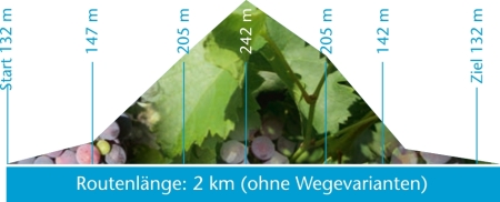 Höhenprofil Route Oberlößnitz