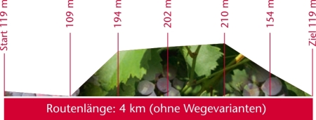 Höhenprofil Route Zitzschewig