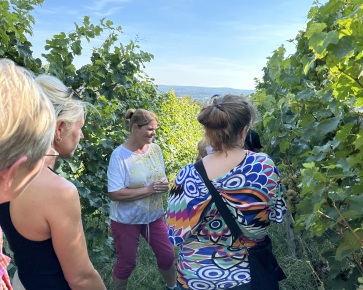 Visites guidées du vin