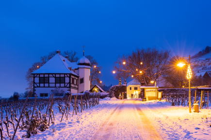 Domaine viticole Hoflößnitz